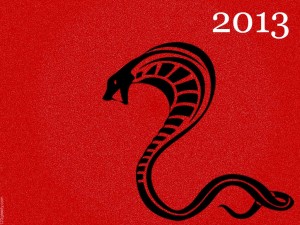 happy_chinese_new_year_2013_16
